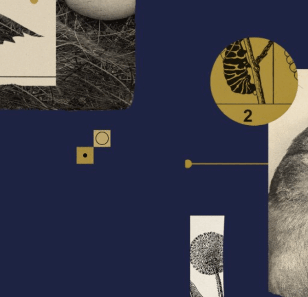 Goldfinch Crypto Dips 12%: Is Now The Time to Buy GFI? And Don’t Miss These Other RWA Coins