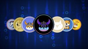 Meme Coin ICOs