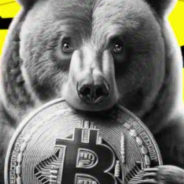 Bitcoin Price Drops: Is Altcoin Season Finally Arriving?