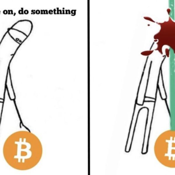 Bitcoin Crash Fuelled By Paper-handed New Holders: Here’s What Happened