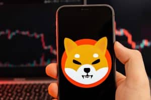 what is the future of shiba inu