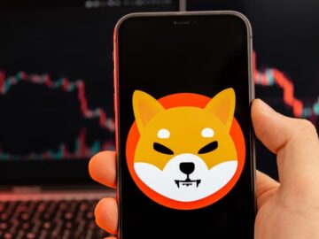 Which Meme Coin Could Replace Shiba Inu at the Top of the Rankings?