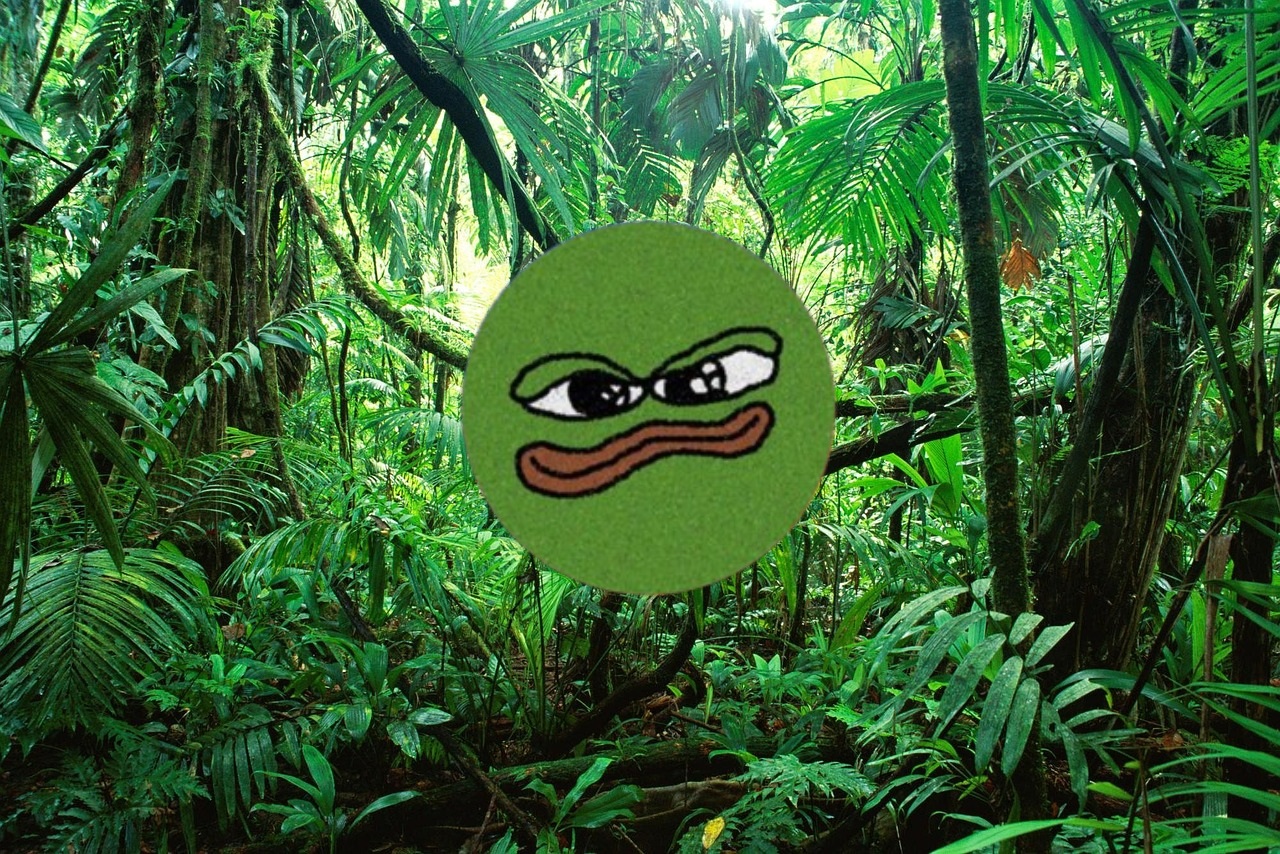 Is Book of Memes Dead? Best Crypto to Buy for BOME Holders?