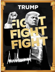 Trump Meme Coin