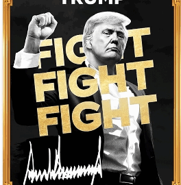 What is the Official TRUMP Meme Coin? A Beginner’s Guide