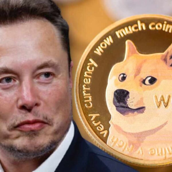 Dogecoin Price Tumbles To 2025 Lows: When Will Elon Musk Pump DOGE Price?
