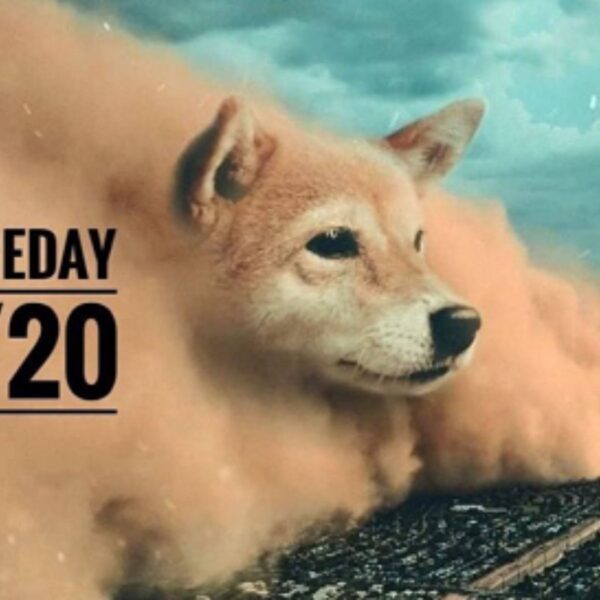 Is DOGE a Crypto Scam or Secret Genius?