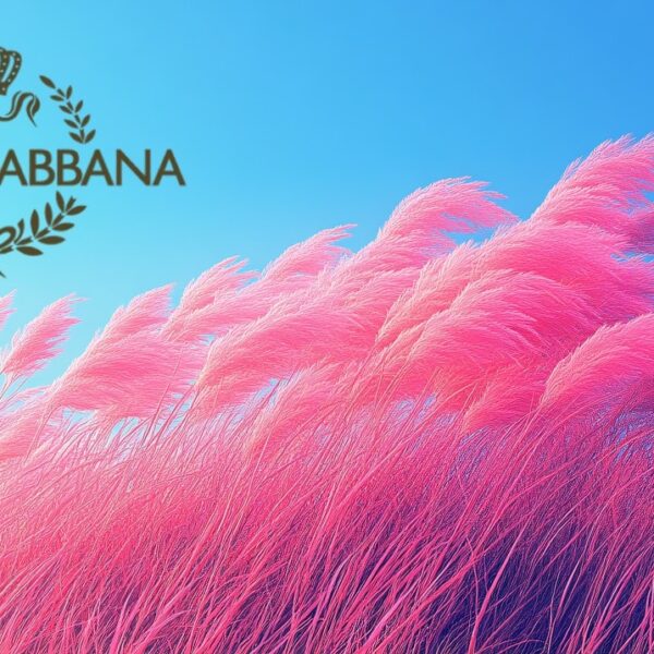 Dolce and Gabbana Lands on Ethereum Layer 2 BASE: Best Layer 2 Crypto to Buy?