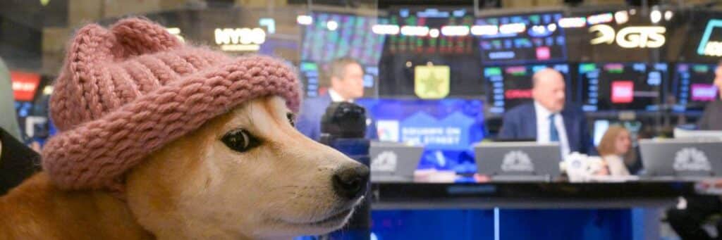 dogwifhat official banner