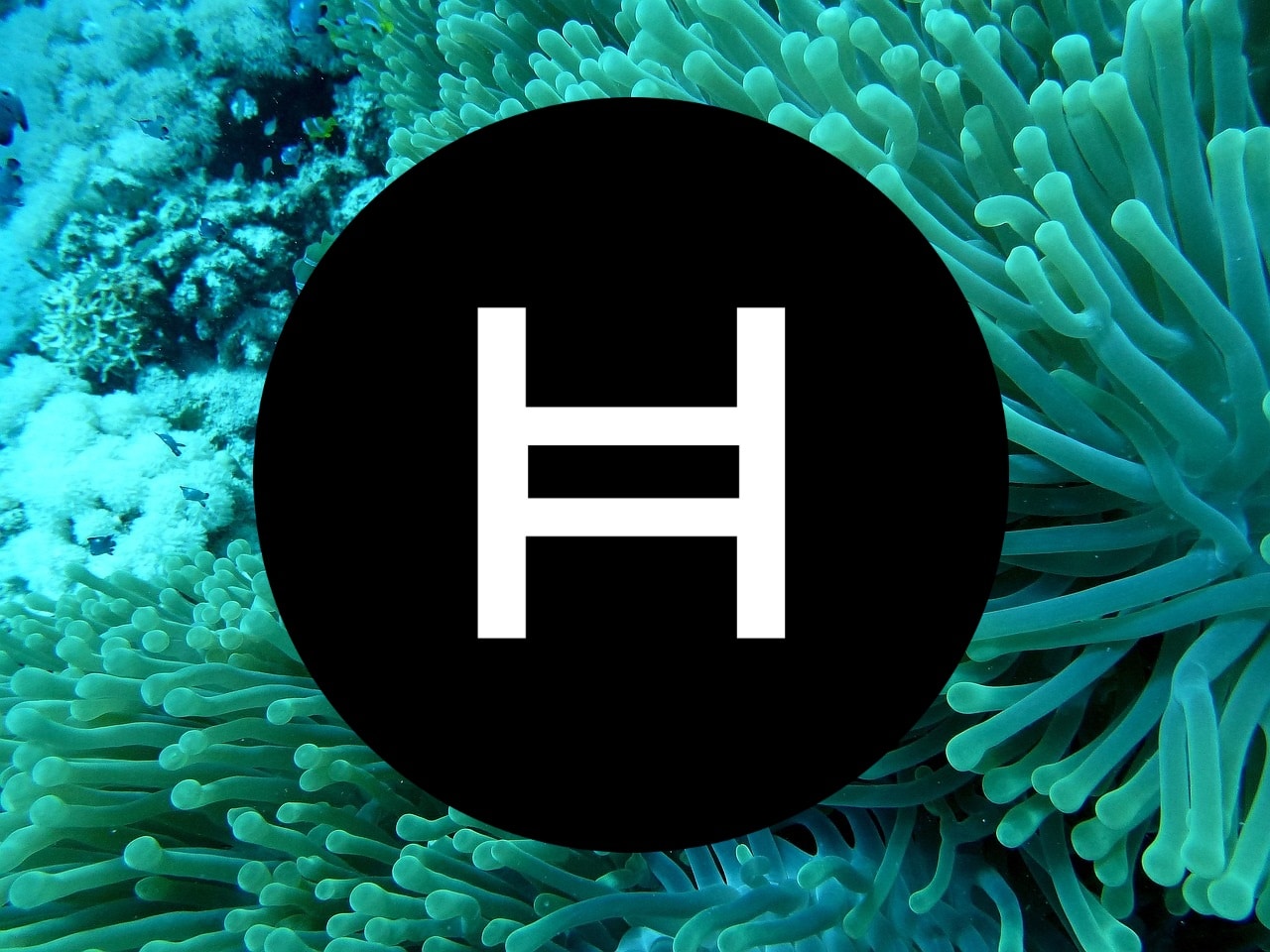 HBAR price prediction is down nearly 50% from 2025 highs. Hedera technology backed by the Federal Reserve - what's next for HBAR crypto?