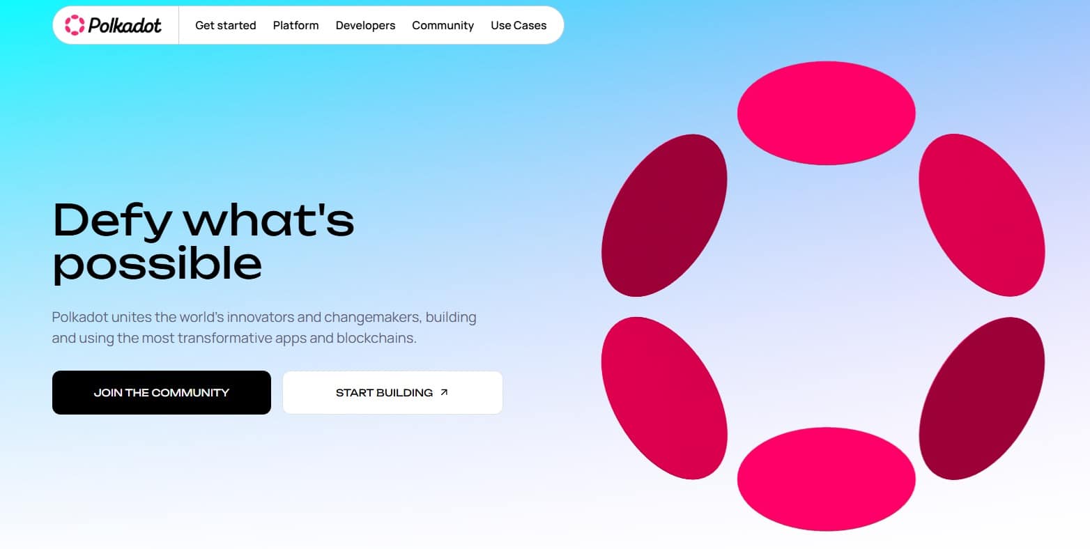 polkadot netwerk