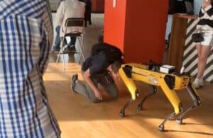 Ethereum price is in turmoil as ETH BTC hits new lows, and Vitalik Buterin is nowhere to be seen other than the Vitalik robot meow incident.