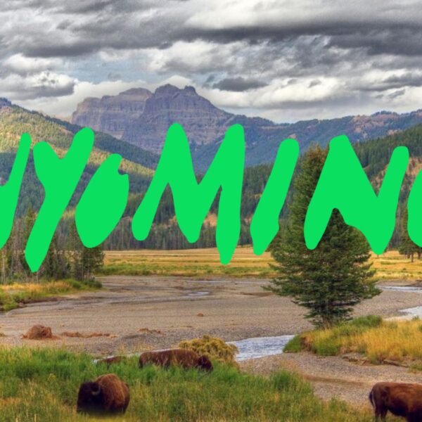 Wyoming Stablecoin: Are Stablecoins About to Kill Federalization? WYST Crypto Launch