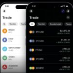 Gemini Wallet Review