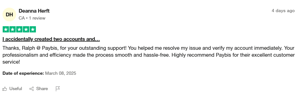Paybis review- user review