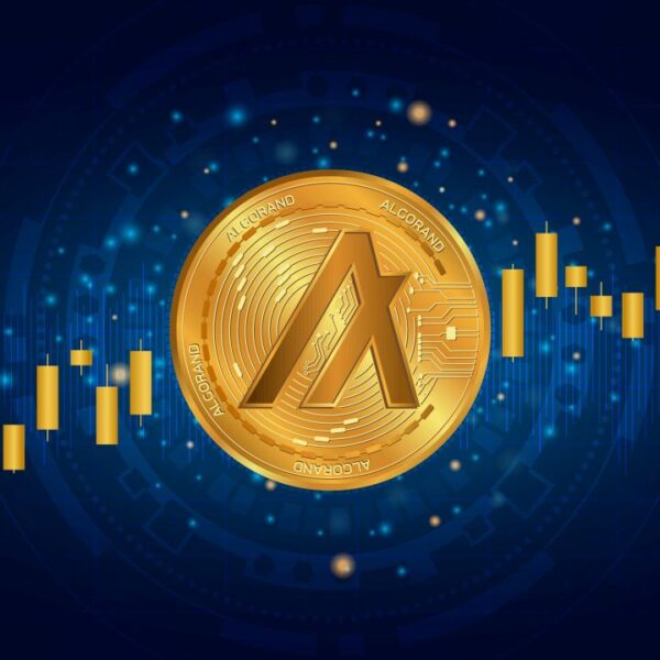How to Buy Algorand (ALGO): Steps & Exchanges