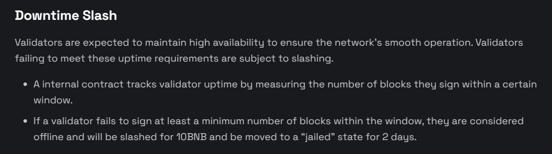bnb downtime slash