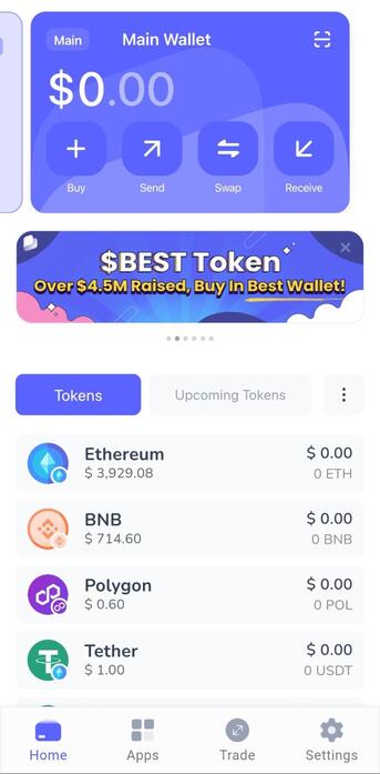 In-app look of Best Wallet