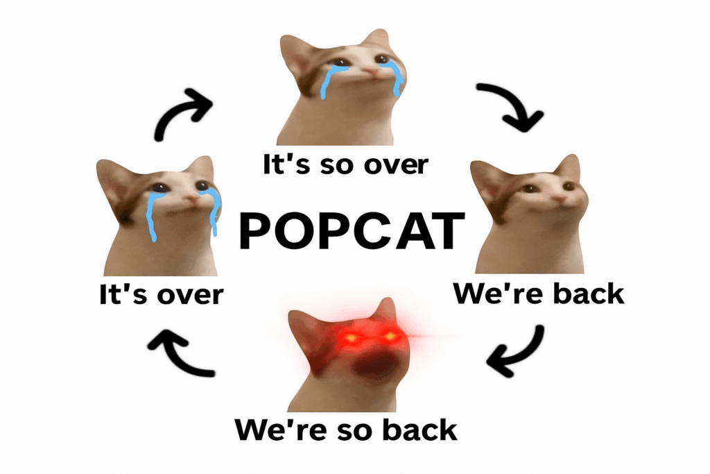 Traders Say POPCAT is The Best Meme Coin to Buy in May 2025