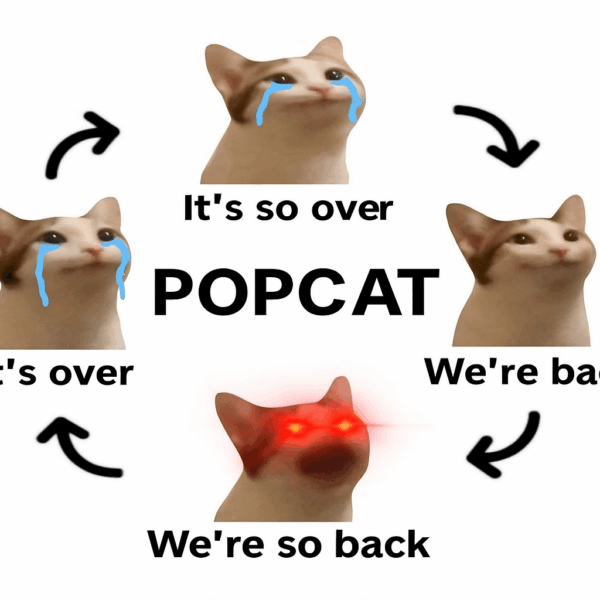 Popcat Crypto Is Not Done Yet – One of the Best Meme Coins to Buy on Solana?