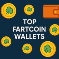 Top Fartcoin wallets
