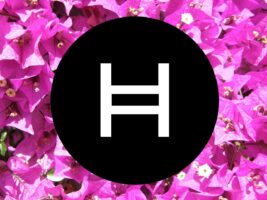 The Hedera price continues to go up, fuelled by a bullish chart and a stream of positive catalysts. The SUBBD presale has just hit $200k.