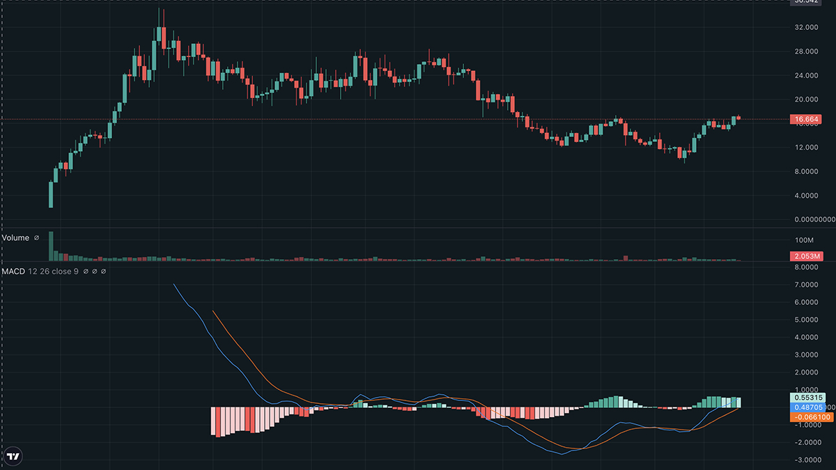 Hyperliquid (HYPE) is a crypto DEX built on its custom Layer-1 blockchain, and prediction says that it will see a full recovery to $35.