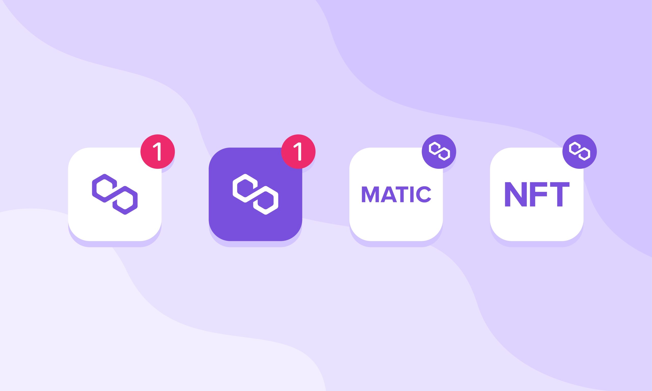 How to Set Up a POL Wallet?