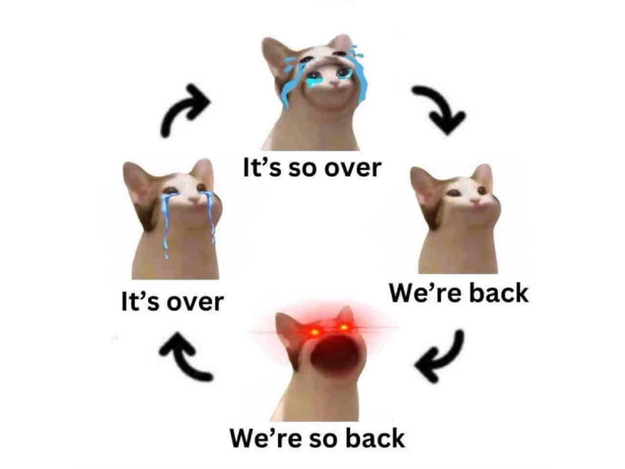 Could POPCAT Crypto Make Come Back? Next 100X Crypto?