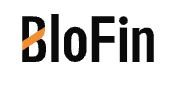 BloFin review 