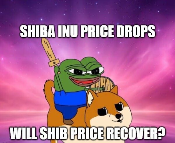 Shiba Inu Price Drops: SHIB Meme Coin Traders Are Unfazed