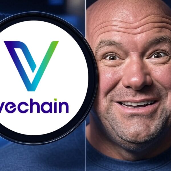 VET Crypto Advised by UFC Dana White: VeChain Price Touches Bottom