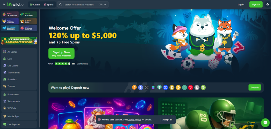 The Wild.io main page promotes the casino’s welcome bonus