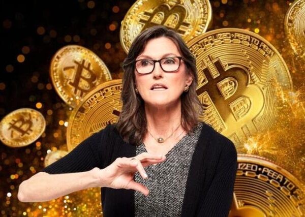 ARK Invest CEO Says Stablecoins Are Hitting Bitcoin Outlook: Best Crypto Presales to Buy For High APY Staking