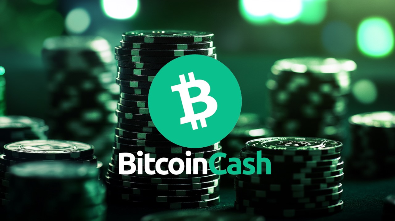 Bitcoin-Cash-Casinos.jpg