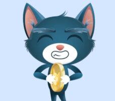 Buy TrollerCat