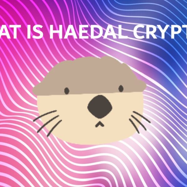 HAEDAL Crypto Blasts +34%: What is Haedal Protocol and Why Is It Pumping?