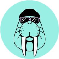 How to Buy Walrus Crypto