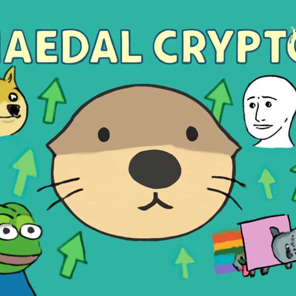 Haedal Crypto Protocol Got Listed On Binance