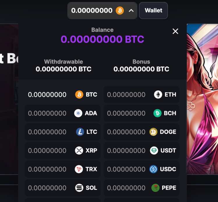 CoinCasino deposit funds 