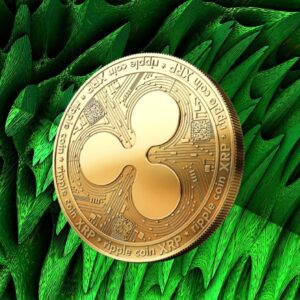 Why is XRP Crypto Down Today? XRP Price Plummets Amid $1Bn Liquidation Event