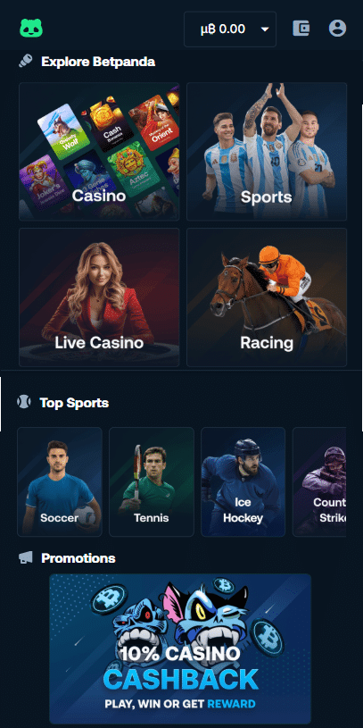 Betpanda casino