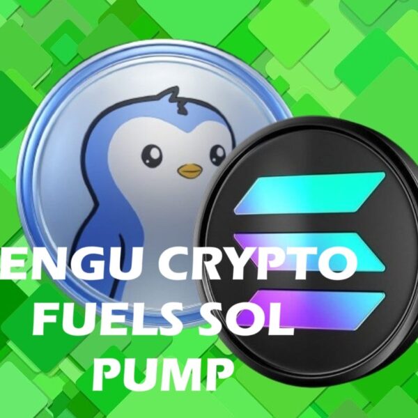 PENGU Crypto Blasts +15% Overnight As The Solana Ecosystem Continues To Heat Up