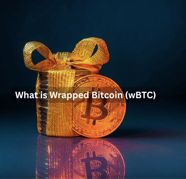 What is Wrapped Bitcoin (wBTC): A Beginner’s Guide