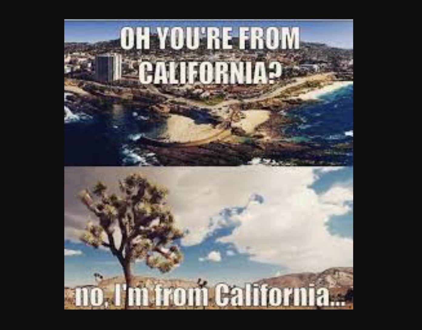 California Crypto Law Delayed: What Happens Next For Memecoins? - 99Bitcoins