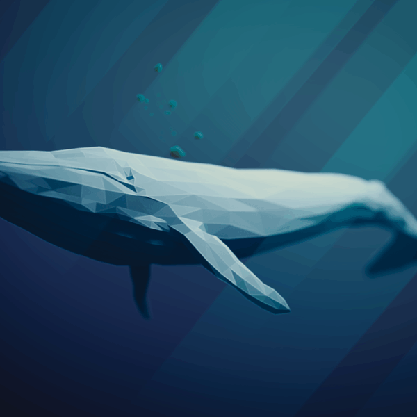 Bitcoin Whales Scoop $4.6B on the Dip – Smart Signal or Bull Trap?
