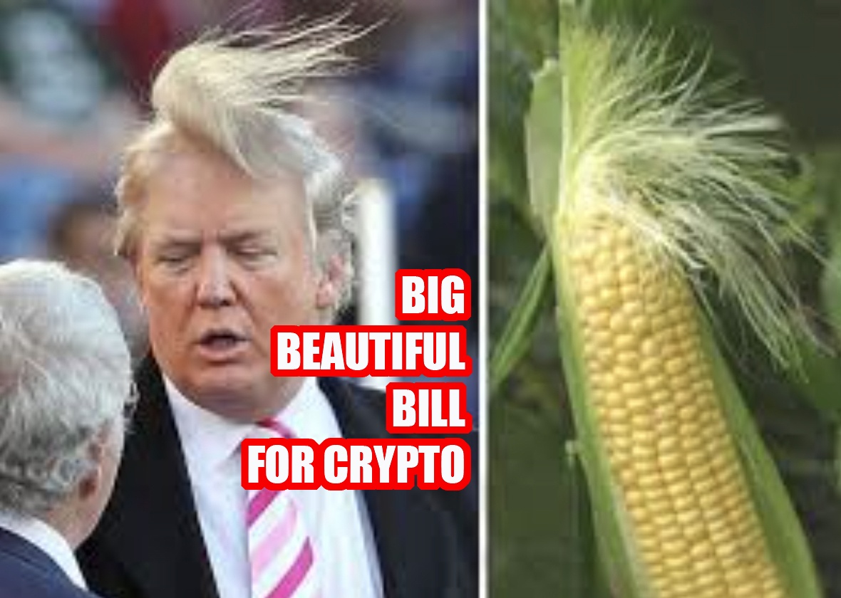 Big Beautiful Bill Are Crypto Adoption Tools: US Inflation Rate To Push  Digital Assets - 99Bitcoins