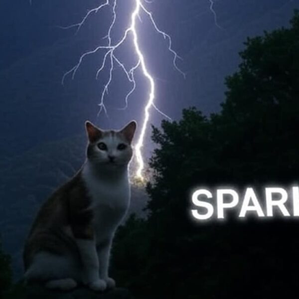 SPK Crypto Jumps +75%: Spark Skyrockets Before Second Ignition Airdrop
