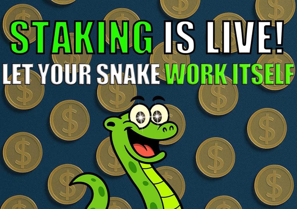 Snaky Way Staking