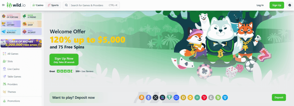 Wild.io Casino